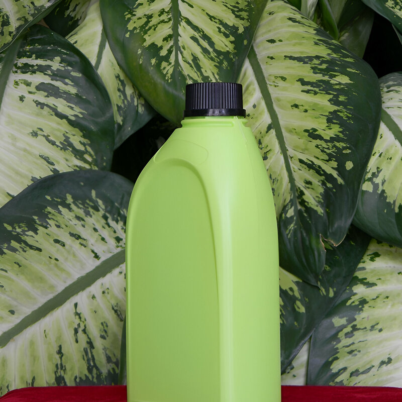 1 LTR United With Berineck